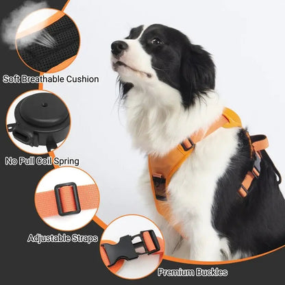 No Pull Adjustable Harness & Leash